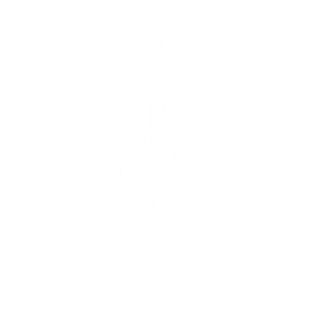El Nido Hotel Holbox
